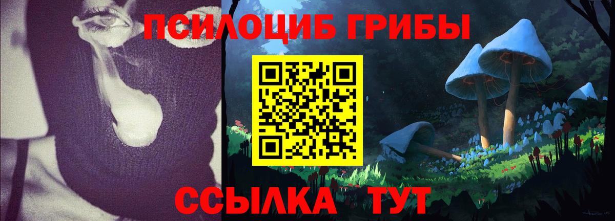 Галлюциногенные грибы мухоморы Полысаево