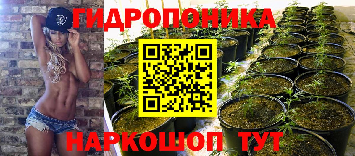 Бошки Шишки SATIVA & INDICA Полысаево